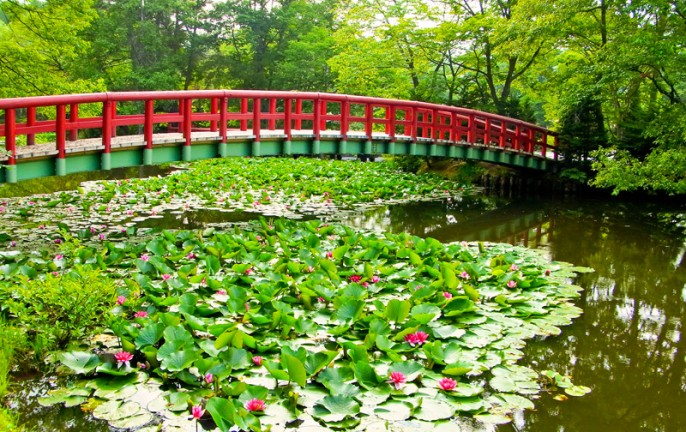 八郎沼公園 スポット