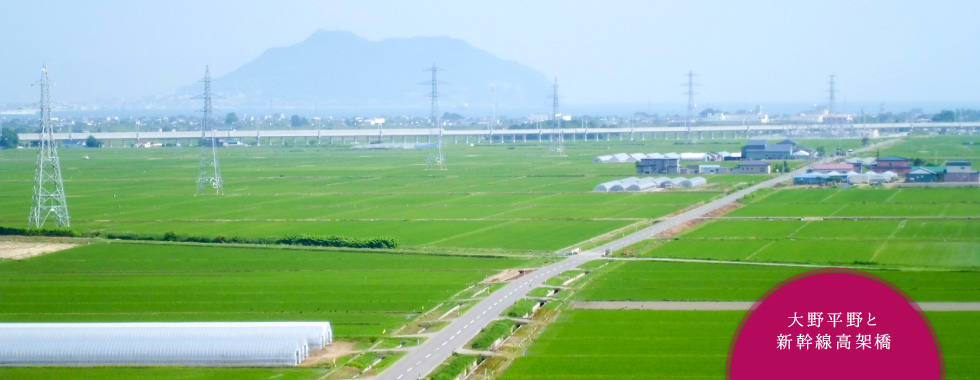 大野平野と新幹線高架線