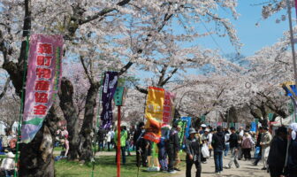 【Bus Tour】Hokuto & Mori Cherry Blossom Tour – Discover Southern Hokkaido in Bloom